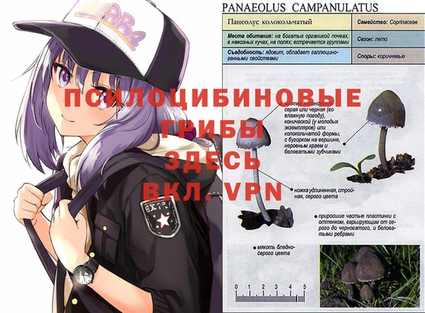 дмт Нягань