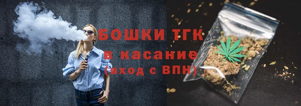 дмт Нягань